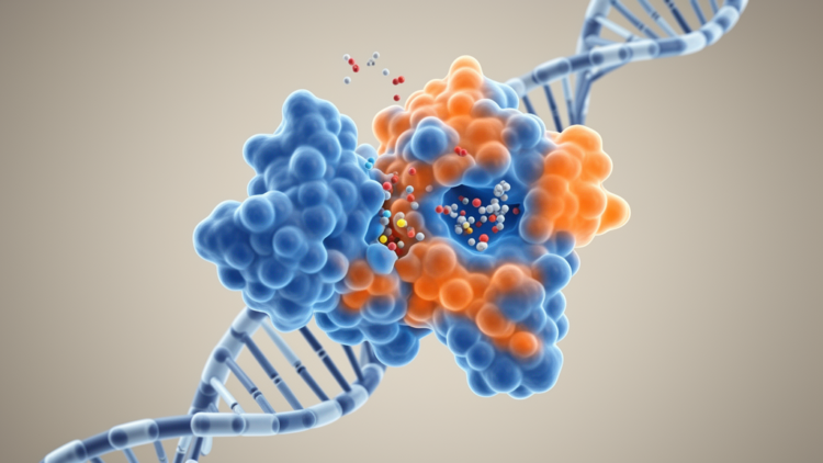 Massive Molecular Screen Targets a Fatal Weak Point in Tuberculosis Transcription Machinery