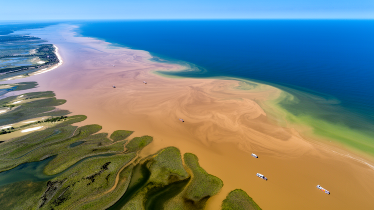 Mississippi’s Fertilizer Flood Feeds the Gulf of Mexico’s Colossal Dead Zone