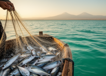 Rigging the Right Net: Monofilament Beats Multifilament in Lake Van’s Pearl Mullet Fishery