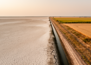 Satellites Reveal Near-Total Collapse of Irrigation in Ukraine’s Kakhovka Dam Zone