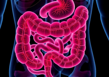 When Gut Ulcers Mimic Inflammatory Bowel Disease: Three Childhood Infections That Fooled Doctors