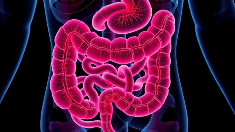 When Gut Ulcers Mimic Inflammatory Bowel Disease: Three Childhood Infections That Fooled Doctors
