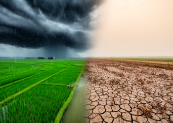 Greenhouse Gases Are Intensifying the Wet-Dry Contrast of Asia’s Monsoon