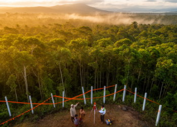 When Saving Forests Means Taking Them: The Green Grabbing Debate Over Carbon Concessions