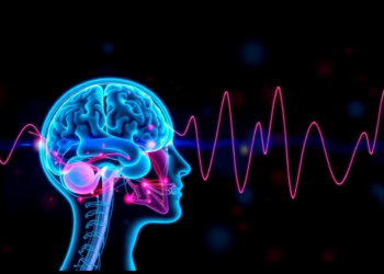 Blood Flow and Brain Waves Combine to Detect Consciousness in Severely Injured Patients