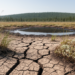 Extreme Drought Cut a Subalpine Peatland’s Carbon Sink by 83 Percent and Rewired Its Soil Microbes