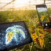 Vision Transformer AI Diagnoses Crop Diseases From Just Five Leaf Photos