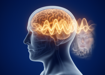 Brain Rhythms Shape How We See: Alpha Waves Gate Vision in Real Time