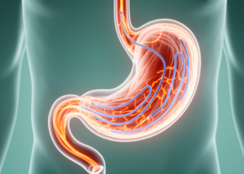Three-Channel Stomach Recordings Reveal How Gut Electrical Signals Synchronize After a Meal