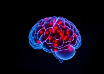 Hidden Brain Protein Reveals New Cell Death Pathway After Concussion