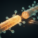 Rethinking Remyelination: Why Brain Stimulation Plus Drugs May Crack Multiple Sclerosis Repair