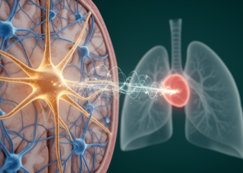 Astrocytes Emerge as Central Players in the Deadly Chain Linking Seizures to Breathing Failure