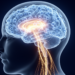 Scientists Trace Melancholic Depression to a Weakened Brain Circuit Linking Cerebellum and Reward Centers