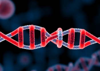 Base Editing Rewrites PCSK9 in Human Embryos Without DNA Breaks, Study Finds