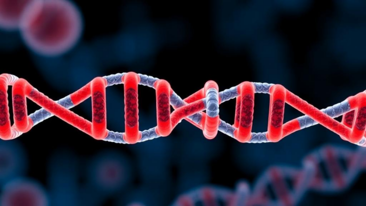 Base Editing Rewrites PCSK9 in Human Embryos Without DNA Breaks, Study Finds