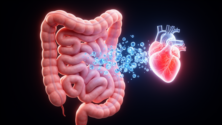 Twisted Gut Turned a Common Mood Stabilizer Into a Heart-Slowing Poison