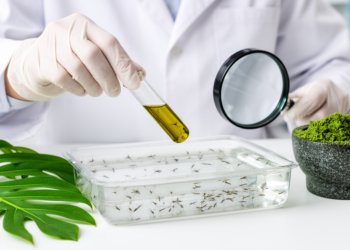 Tropical Tree Extracts Show Potent Larvicidal Power Against Major Disease-Carrying Mosquitoes
