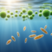 Deep Reservoir Study Reveals the Seasonal Tug-of-War Between Cyanobacteria and Diatoms