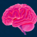Immune Memory Remodels in Sex-Specific Waves From Birth to Old Age, Landmark Study Finds