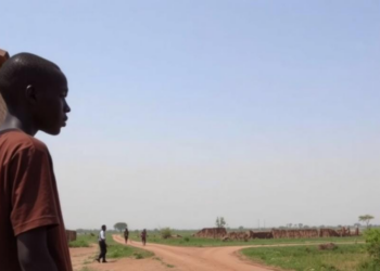 Land, Grievance, and Misinformation: What a Decades-Long Ethiopian Conflict Reveals About Ethnic Federalism