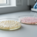 Two New Yeast Species Uncovered in China Expand the Hidden Fungal Family Tree