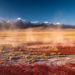 Soils on the Roof of the World Are Quietly Rewriting the Plateau’s Air Chemistry