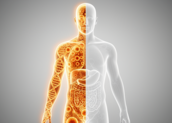 AI Health Summaries Quietly Drop Half the Medical Knowledge They Rewrite