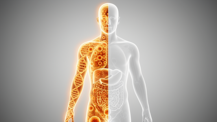 AI Health Summaries Quietly Drop Half the Medical Knowledge They Rewrite