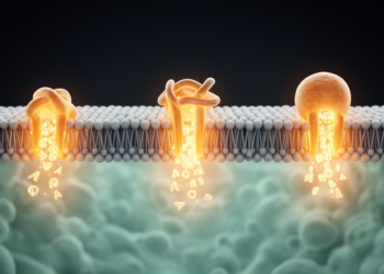Three overlooked amino acid transporters emerge as promising anti-cancer targets