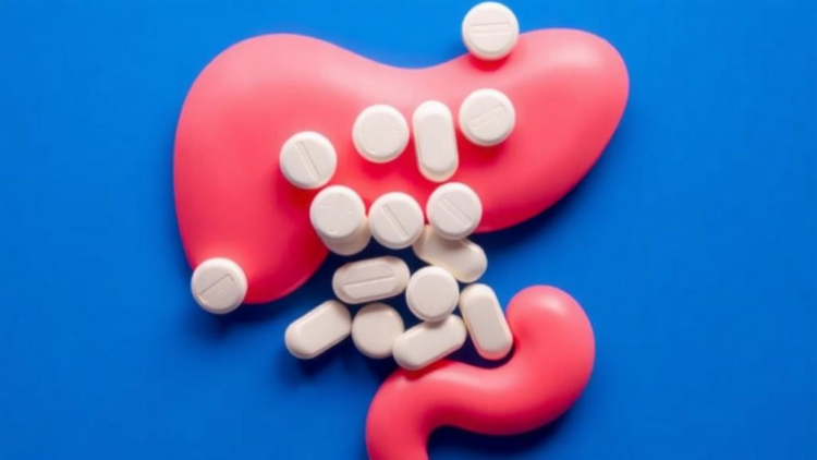 Diabetes Drug Metformin Shows Promise Against Deadly Pancreatitis in Obesity, Gut Microbe Study Finds