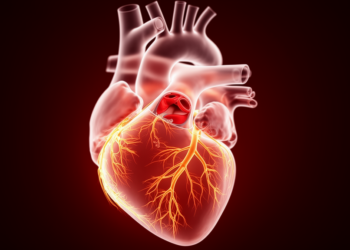 Hidden Heart Damage: Nearly Half of Aortic Stenosis Patients Show Microvascular Disease Before Valve Replacement