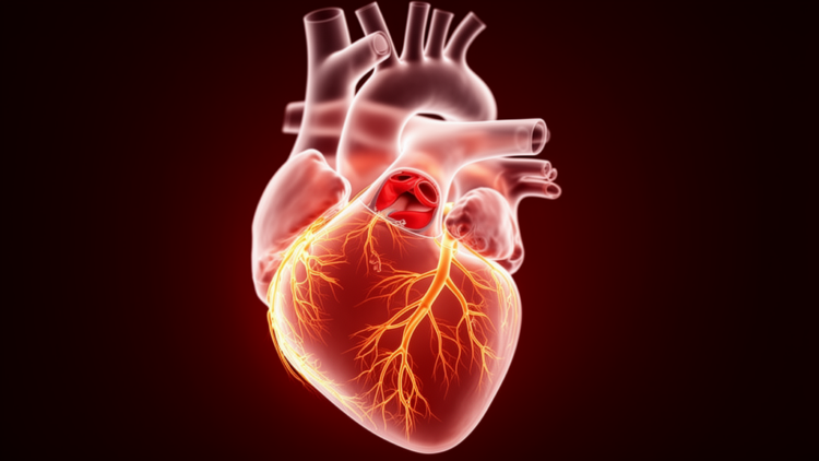 Hidden Heart Damage: Nearly Half of Aortic Stenosis Patients Show Microvascular Disease Before Valve Replacement
