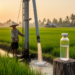 Ancient Water, Modern Thirst: Isotopes Reveal the Mekong Delta Is Pumping Fossil Groundwater Faster Than Nature Can Replace It