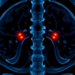 Advanced PET Scan Reveals Bone Metastases Are Far Rarer in Intermediate-Risk Prostate Cancer Than Guidelines Assume