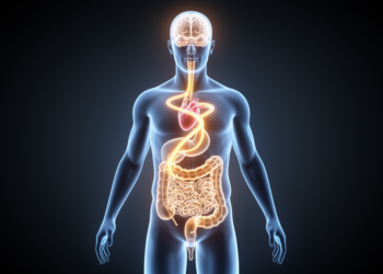 Bipolar Disorder Reimagined: A Body-Wide Feedback Loop May Drive the Mood Cycle