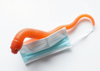 Superworm Gut Microbes Devour Disposable Face Masks, Study Finds