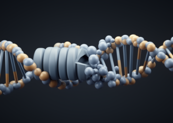 XPA confers ability of endonucleases to act processively and to incise damaged nucleosomal DNA