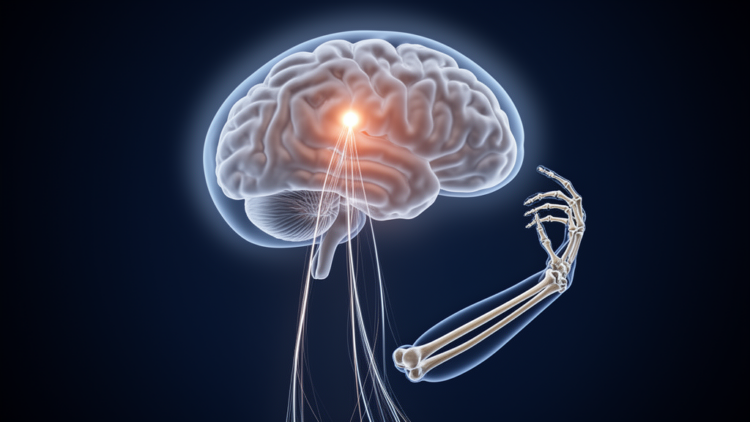 Precise triggers in motor cortex can launch learned movements