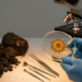 Ancient Holly-Like Pollen from Brazil Rewrites the Story of an Iconic Plant Lineage