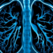Leaner AI Reads Lung Scans: Optimized CNN Beats Heavyweight Models at Their Own Game