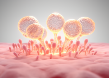Same Immune Cells That Guard Against Disease Also Block Tissue Regeneration