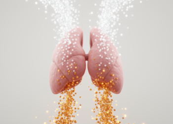 How the Immune System Matures, Ages, and Defies Time
