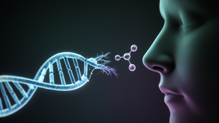Hidden DNA Deletions May Explain Why Some People Are Born Without a Sense of Smell