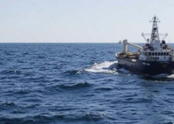 From Satellites to Superbugs: The New Science of Fighting Oil Spills at Sea