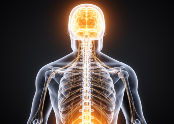 The Brain’s Hidden Map of Your Back May Hold Clues to Chronic Pain