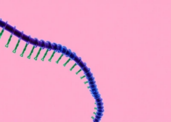 RNA Chemical Tag METTL3 Found Essential for Building the Newborn Uterus