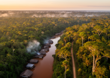 Chico Mendes Extractive Reserve: Can Amazon Forest Governance Still Deliver Transformative Change?