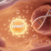 Metabolic Enzyme NNMT Drives Ovarian Hormone Disorder Through Epigenetic Rewiring