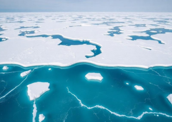 Ancient Sediments Reveal Winter Arctic Sea Ice Is Vanishing Faster Than Models Predicted