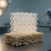 Printed Scaffolds That Heal Osteoporotic Bone Are Moving From Lab to Clinic
